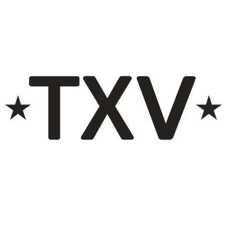 Texas Vibe logo